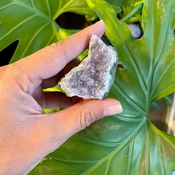 The Gift of Prosperity - Picture 8 of 9